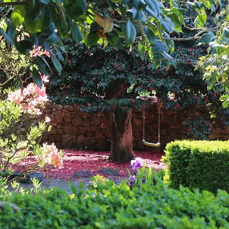 Quintal Do Forno L Casa Da Hera *