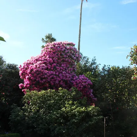Quintal Do Forno L Casa Da Hera Holiday home