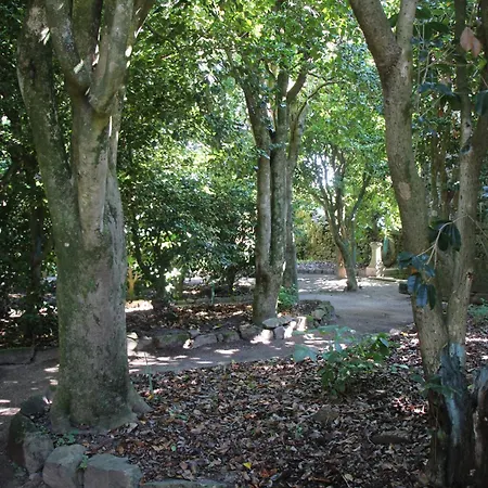 Quintal Do Forno L Casa Da Hera בית נופש Paços da Serra