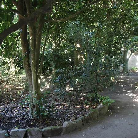 Quintal Do Forno L Casa Da Hera * Paços da Serra