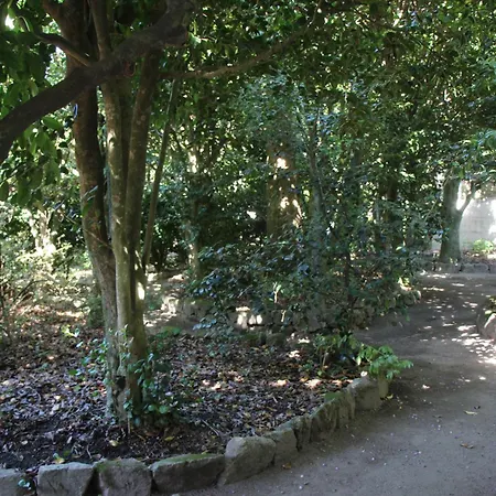 Quintal Do Forno L Casa Da Hera * Pacos da Serra