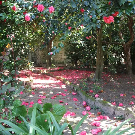 Quintal Do Forno L Casa Da Hera * Pacos da Serra