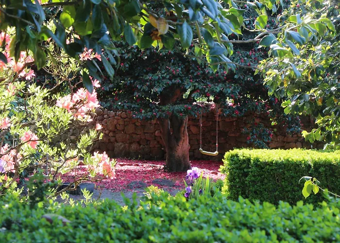 Quintal Do Forno L Casa Da Hera *