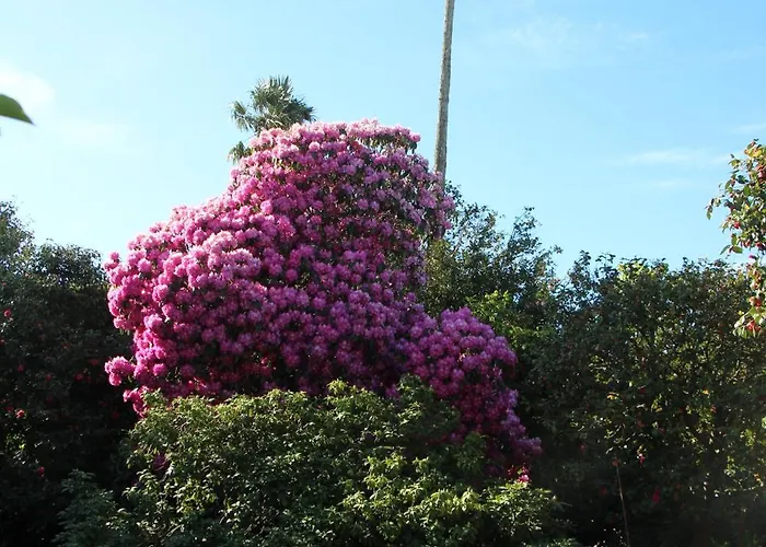 Quintal Do Forno L Casa Da Hera 別荘