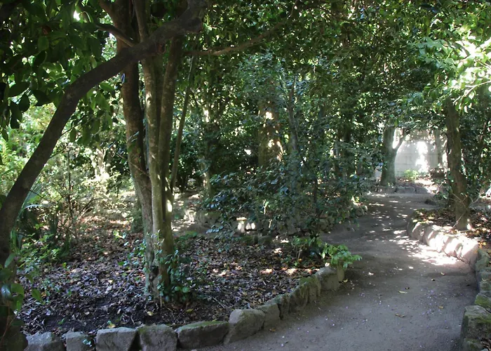 Quintal Do Forno L Casa Da Hera * Paços da Serra