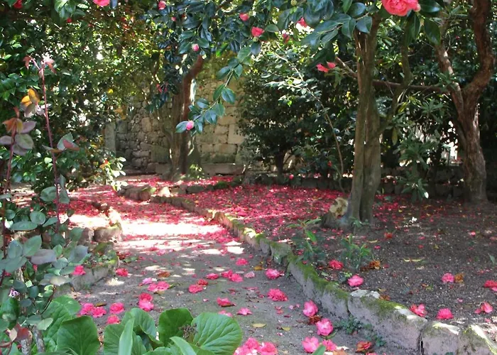 Quintal Do Forno L Casa Da Hera * Paços da Serra
